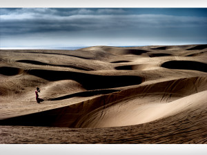 David Drebin Chasing Paradise