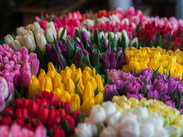 Frische und fröhliche Tipps für den Frühling