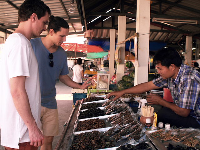 Flunder auf der Suche nach Insekten in Thailand auf einem Markt