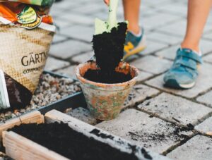 Urban Gardening