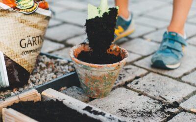 Urban Gardening | Genussvolle Selbstversorgung in der Großstadt