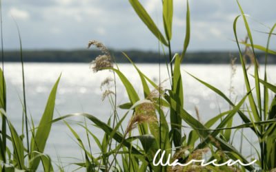 Das „Land der tausend Seen“ | Einen unvergesslichen Urlaub in Waren erleben