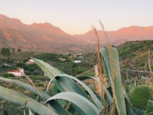 Urlaub in Spanien Kanaren