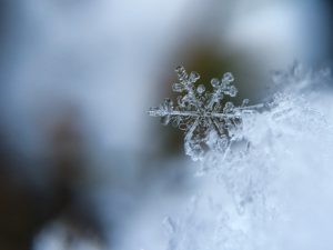 kreative Fotoideen für den Winter